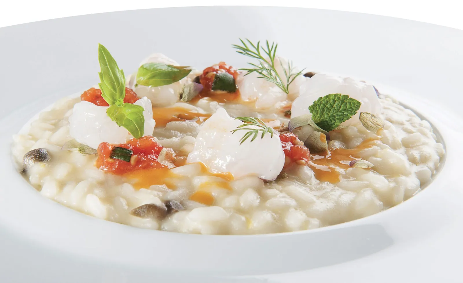 Risotto all’olio extravergine di olive Nocellara con gamberi “viola” di Sanremo e origano di Vendicari