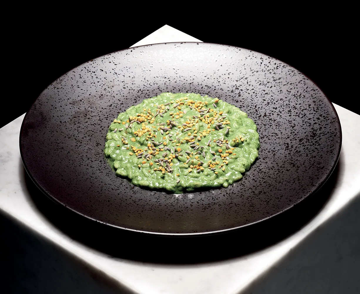 Risotto alle ortiche, lavanda, polline di fiori e formaggio di capra