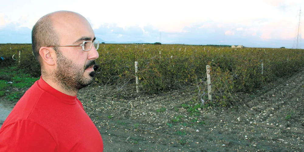 I vini “diversi” di Nino Barraco. Il vino più rivoluzionario, in Sicilia, torna alle origini