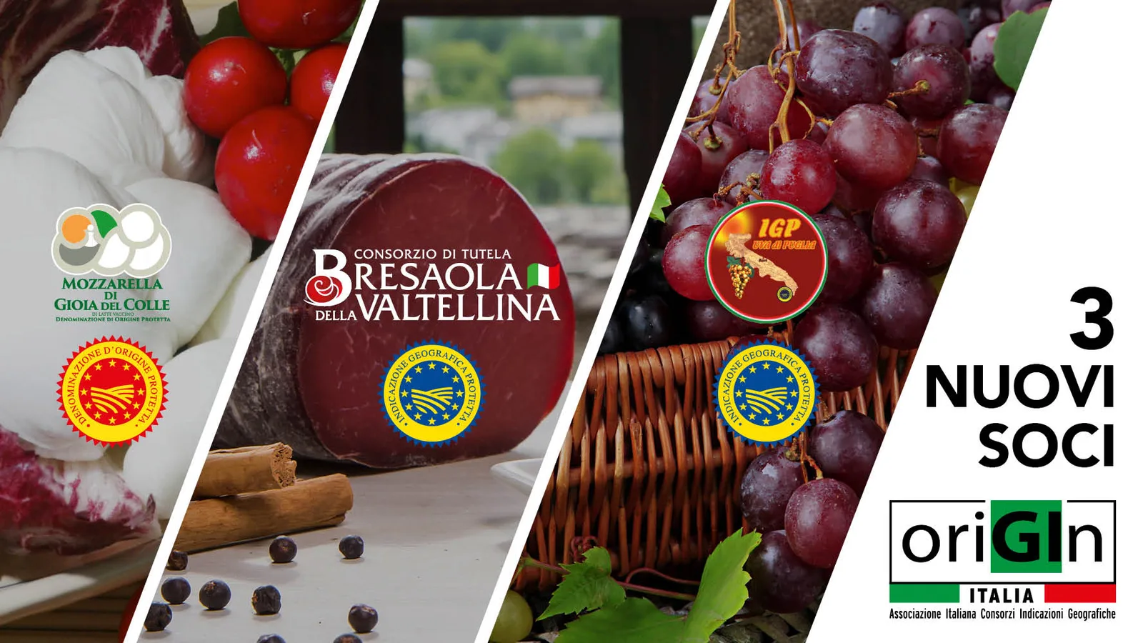 Origin Italia: i nuovi consorzi aderenti
