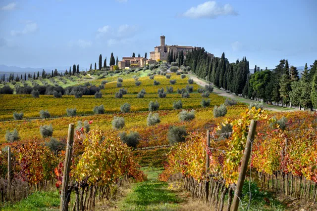 Banfi migliora la sostenibilità