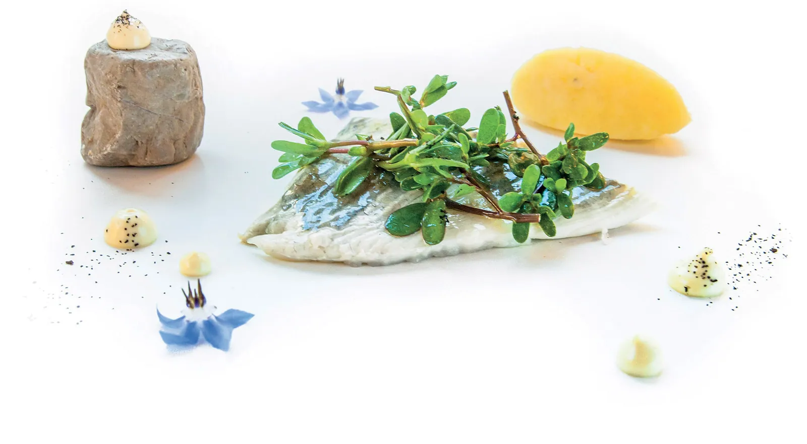 Rombo e patate su maionese di alici e the verde alla verbena
