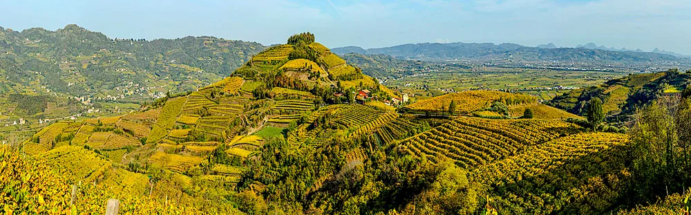 vigneti-nell'areale-di-Soave,-su-suoli-vulcanici