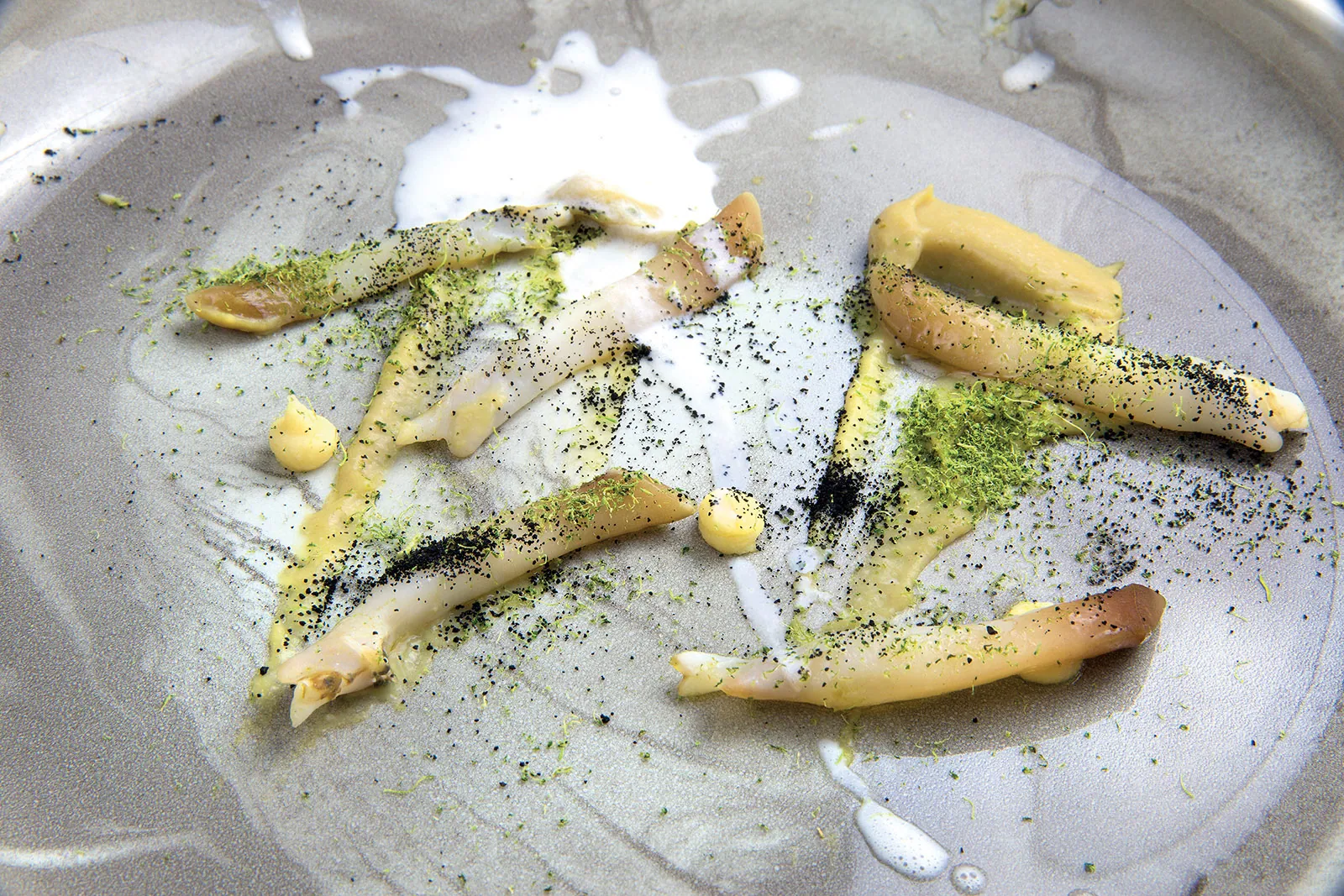 Canolicchio