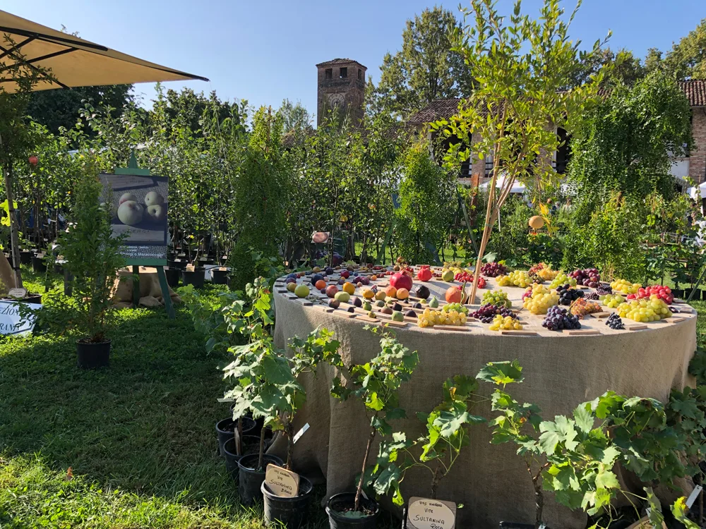 I Frutti del Castello: il 7 e 8 ottobre Rassegna di frutti antichi