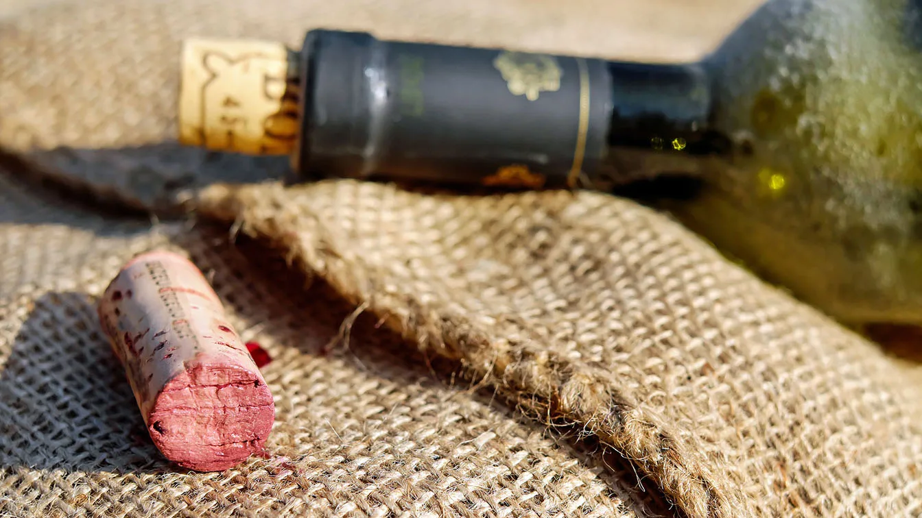 VINO: LA TEORIA DEL CASO